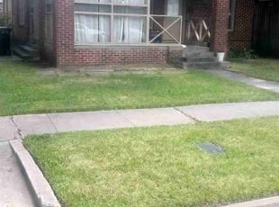 Cleanups by Jamell Mcgee for Brik S. in Houston, TX