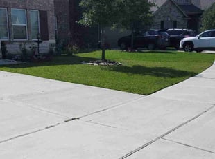 Pamela A.'s Lawn Service service result