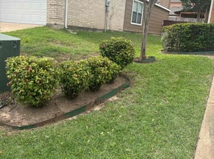 Weeding by Victor Ramirez for Lisa J. in Dallas, TX
