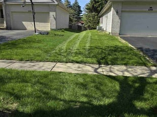 Blair D.'s Lawn Care service result
