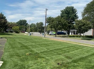 Rolla P.'s Lawn Care service result