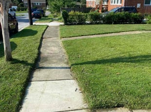 Taletha S.'s Lawn Mowing service result