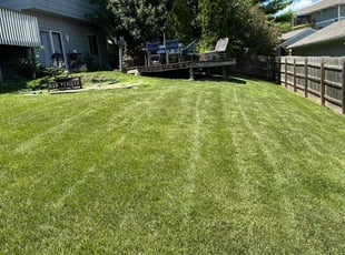 Max L.'s Lawn Service service result