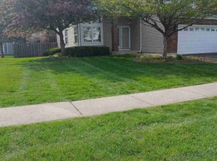 Sharehan W.'s Yard Cutting service result