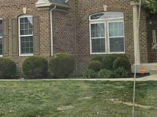 Frances A.'s Lawn Service service result
