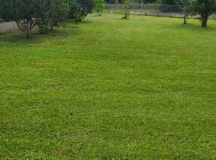 Kathy A.'s Lawn Care service result