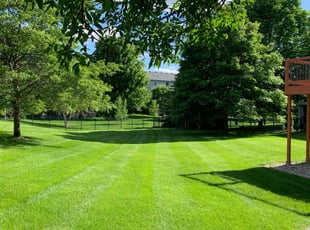 Christopher F.'s Yard Cutting service result