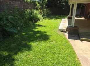 Keith G.'s Lawn Mowing Service service result