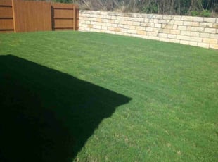 anthony T.'s Grass Cutting service result