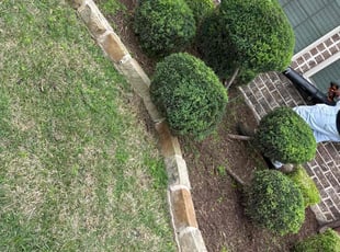 Bush Trimming by Patrick Stewart for Shelley T. in McKinney, TX
