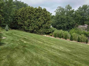 Sean K.'s Lawn Service service result