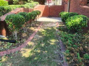 Bush Trimming by Carlos Wright for Dustin L. in Snellville, GA
