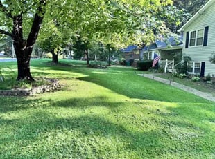 Rand T.'s Lawn Mowing Service service result