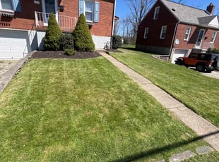 Vicki S.'s Lawn Care service result
