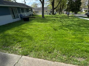 Sean B.'s Yard Cutting service result