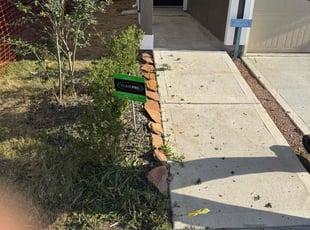 Bush Trimming by Paul Jones for Donald F. in Houston, TX