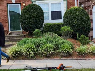 Gerard I.'s Bush Trimming service result