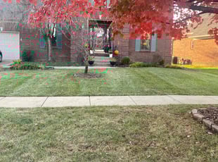 Leaf Removal by Aaron Kapfhammer for Latonya B. in Jeffersontown, KY