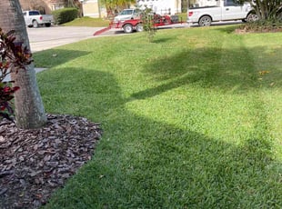 Terry R.'s Lawn Care service result