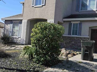 Bush Trimming by Juan Rodriguez for Brian M. in Sacramento, CA
