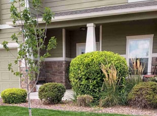 Bush Trimming by Tom Parker for Eric R. in Colorado Springs, CO