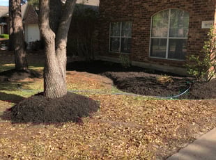 Landscaping by Carlitta Brazile for BRETT R. in Houston, TX
