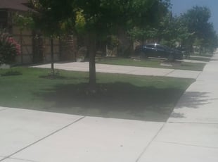 Amber L.'s Lawn Care service result
