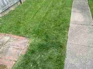 Jarod S.'s Lawn Care service result