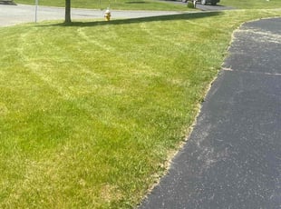 Mae S.'s Lawn Maintenance service result