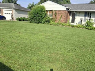 Brandon t.'s Lawn Mowing Service service result