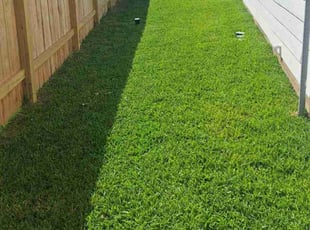 Michael R.'s Lawn Mowing Service service result