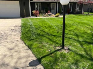 Dale L.'s Lawn Care service result