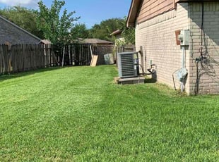 Rachel S.'s Lawn Care service result