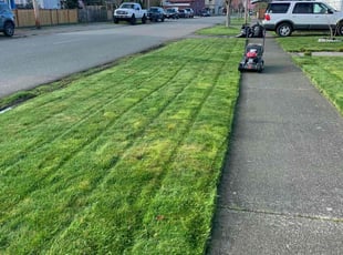 Shellise C.'s Lawn Service service result