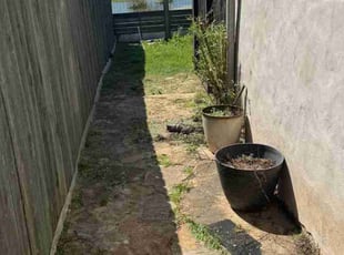 Bush Trimming by Rene Gabriel Ramirez for Julia S. in Manor, TX