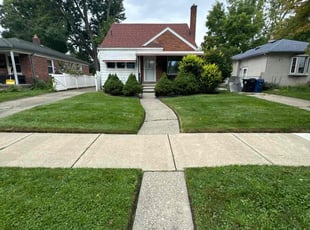 Aijaz D.'s Lawn Mowing service result
