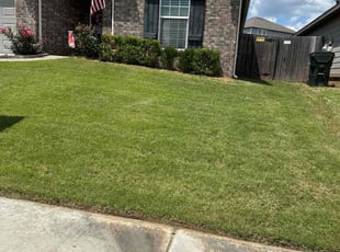 Anthony G.'s Lawn Mowing service result