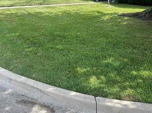 Sean W.'s Yard Cutting service result