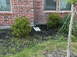 Bush Trimming by Guadalupe Florez for Chris S. in Haslet, TX