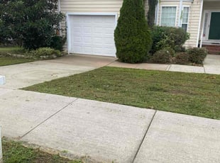 Bush Trimming by Brandon Medlin for Jenn C. in Raleigh, NC