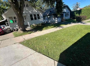 cecil t.'s Lawn Mowing service result
