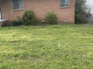 Bush Trimming by Curtis Stewart for Jennifer L. in Jacksonville, AR