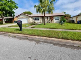 Queenta N.'s Lawn Maintenance service result