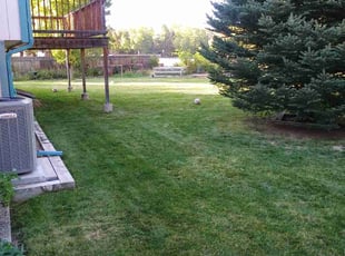 Sara S.'s Grass Cutting service result