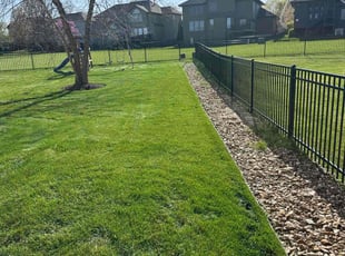 Vanessa C.'s Lawn Maintenance service result