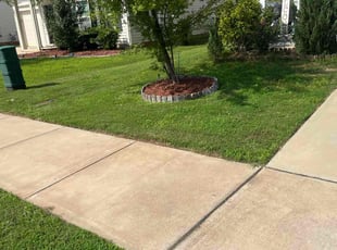 Carlise B.'s Lawn Care service result