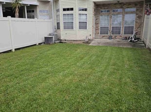 Rafael s.'s Lawn Maintenance service result