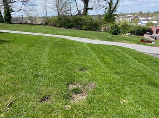 Michael R.'s Lawn Mowing service result