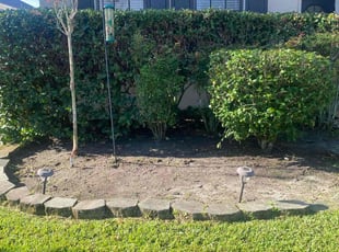 Weeding by Mike Douglas for Minhee K. in Oviedo, FL