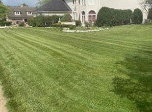 Ken S.'s Lawn Service service result